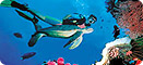 Excursión de buceo