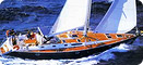 Paseo en Barco